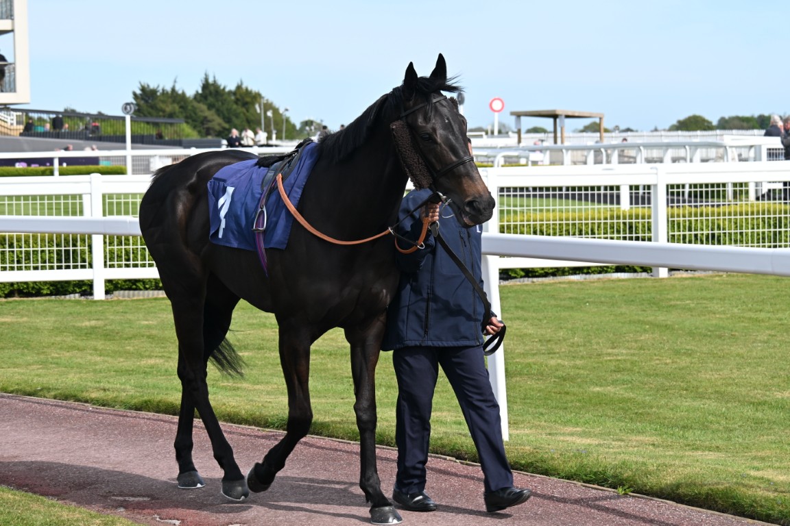 Thecoffeepoddotco Trainer William Muir, racing at Bath