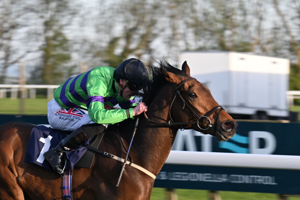 Simba's Gift at Bath racecourse
