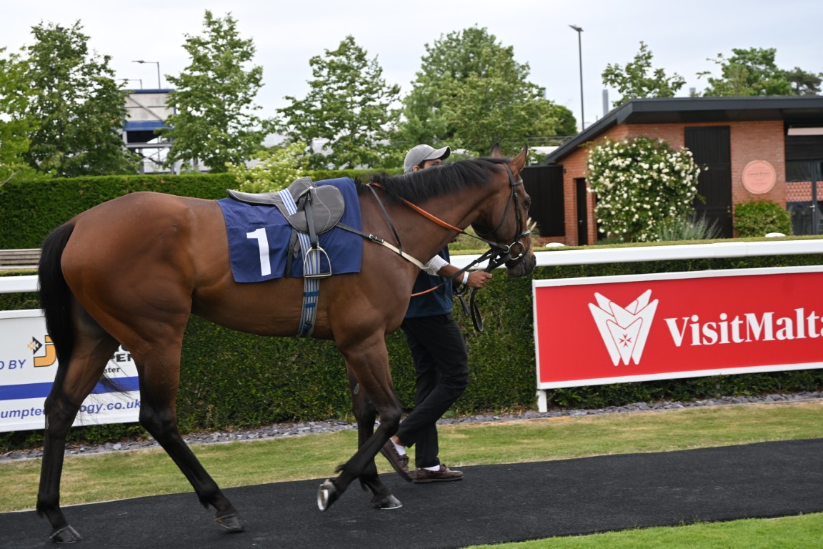 Devious Devan At Newbury