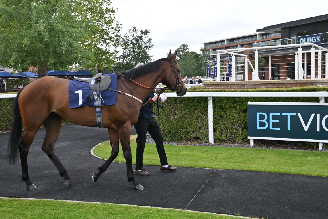 Devious Devan At Newbury