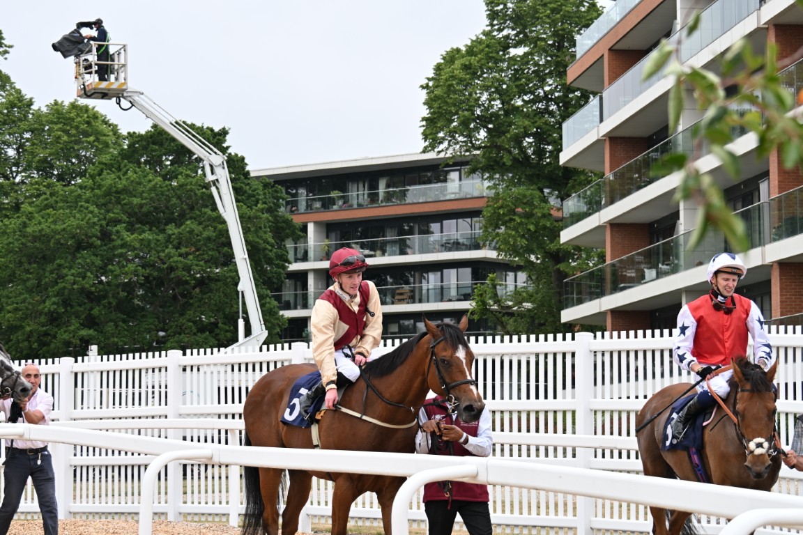 Herculeus At Newbury