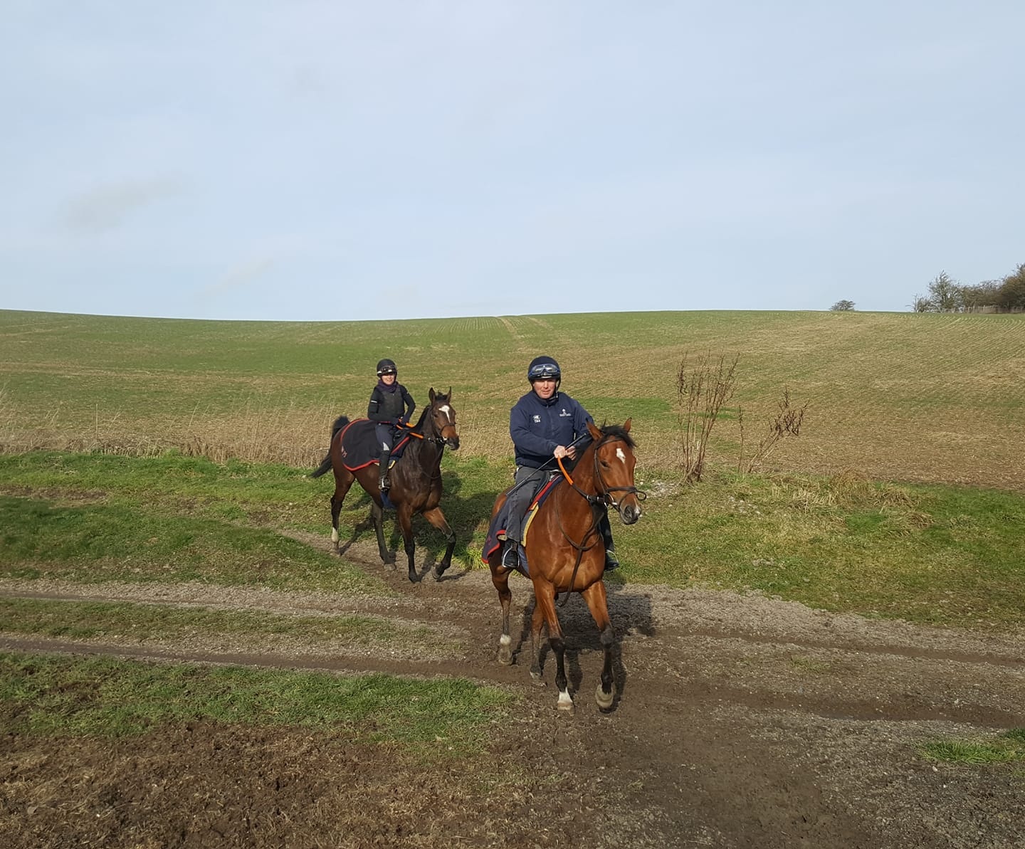 On The Gallops
