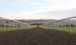 Jockey Club Gallops