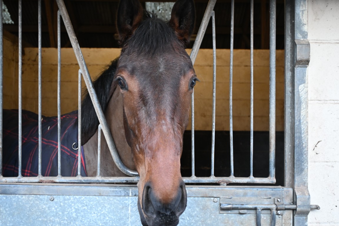 Humble Pyle (GB)