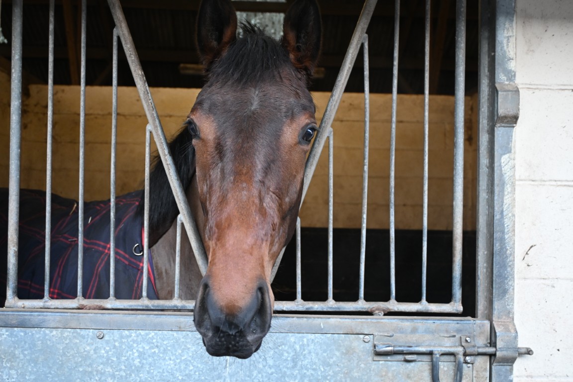 Humble Pyle (GB)