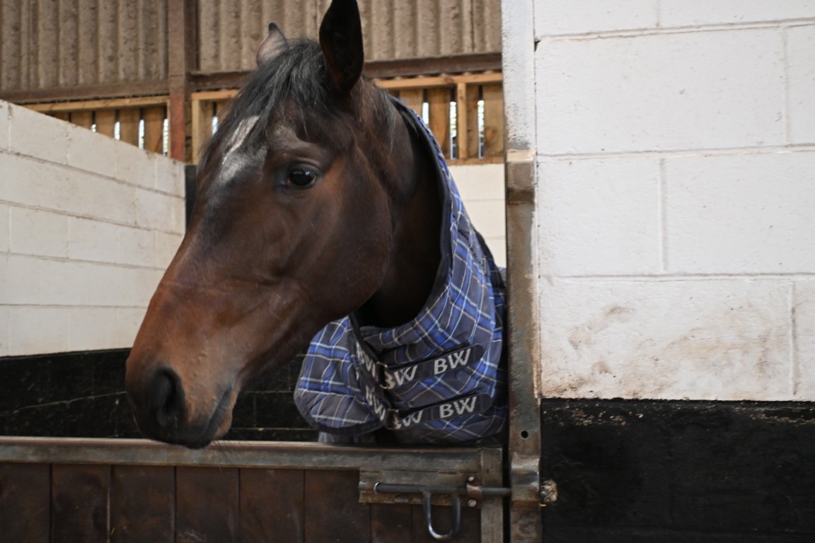 Midnight Media (GB)