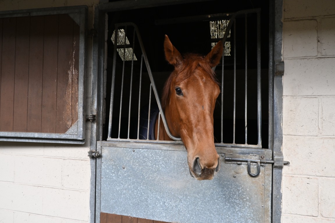 Milly Mint (GB)