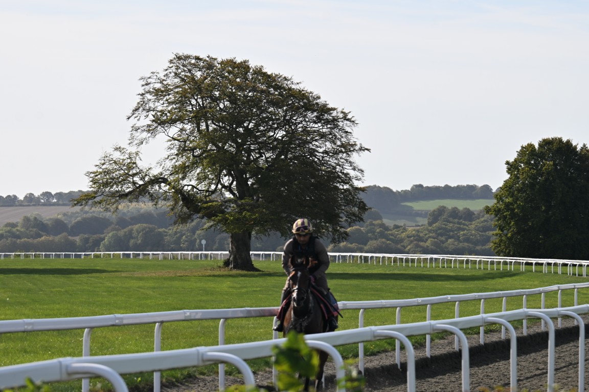Read All About It : Trainer rWilliam Muir Lambourn