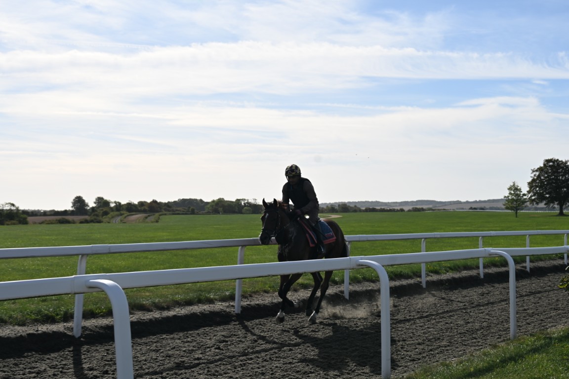 Read All About It : Trainer William Muir Lambourn